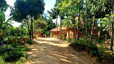 Land for Sale in Malava - Image 5