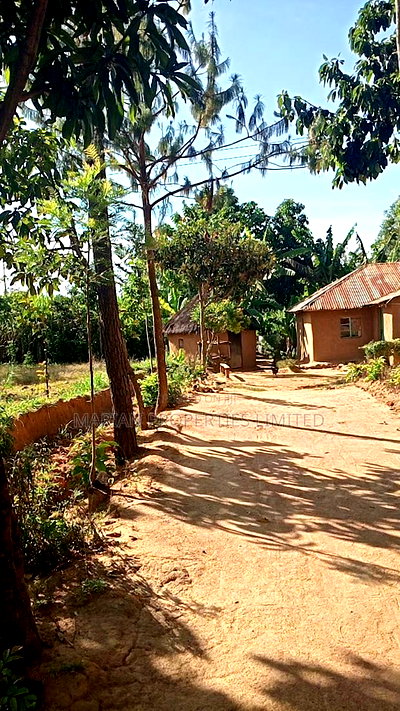 Land for Sale in Malava - Image 6