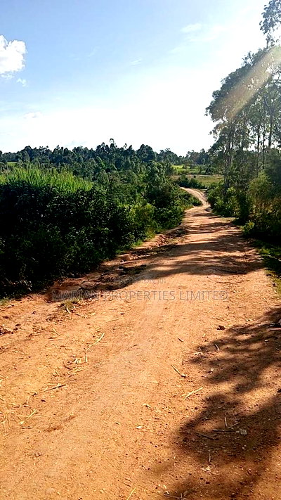 Land for Sale in Malava - Image 1