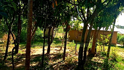 Land for Sale in Malava - Image 3