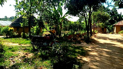 Land for Sale in Malava - Image 7