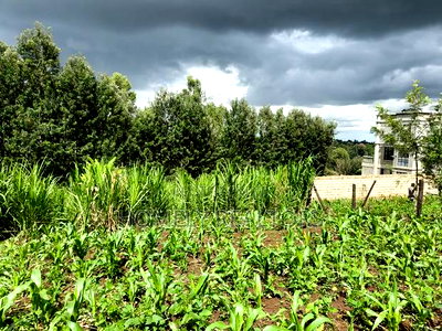 Residential Quarter Acre Plot in Ngong, Matasia Near Silanga - Image 4