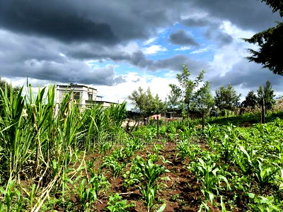 Residential Quarter Acre Plot in Ngong, Matasia Near Silanga - Image 1
