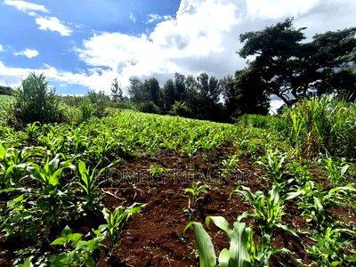 Residential Quarter Acre Plot in Ngong, Matasia Near Silanga - Image 5