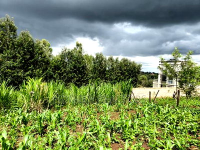 Residential Quarter Acre Plot in Ngong, Matasia Near Silanga - Image 2