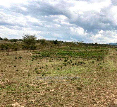 1 Acre for Sale 2nd Row From Lake Elementaita - Image 2