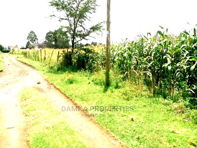 1/4 Acre 2nd Row Plot From Tarmac at Ngata - Image 4