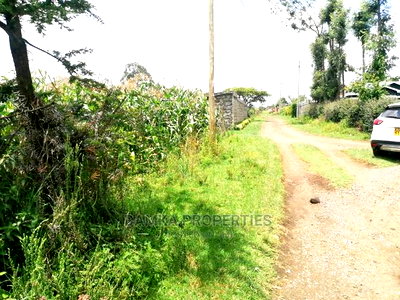 1/4 Acre 2nd Row Plot From Tarmac at Ngata - Image 2