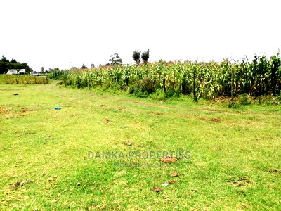 1/4 Acre 2nd Row Plot From Tarmac at Ngata - Image 1
