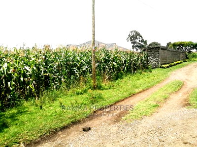 1/4 Acre 2nd Row Plot From Tarmac at Ngata - Image 3