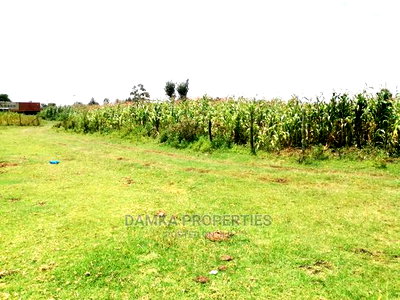 1/4 Acre 2nd Row Plot From Tarmac at Ngata - Image 5