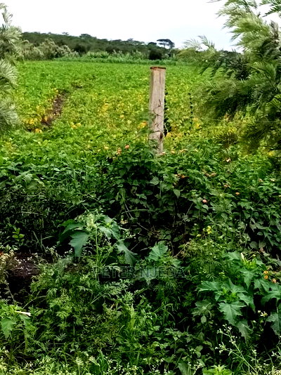 10 Acres in Isinya-Kiserian Pipeline Road - Image 11