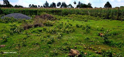 1/4 Plot for Sale in Kapseret Eldoret City - Image 7