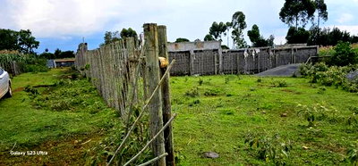 1/4 Plot for Sale in Kapseret Eldoret City - Image 6