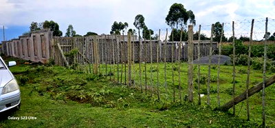 1/4 Plot for Sale in Kapseret Eldoret City - Image 1