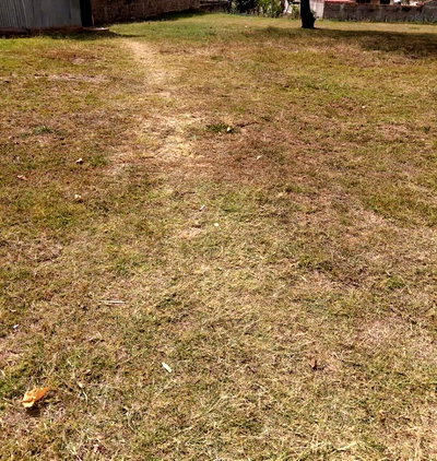 1-Acre Lavington Plot with Garden