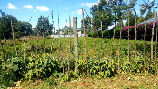 1/2 Acre Elgonview Upper in Getted Community