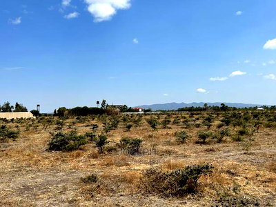 Tuala Rangua 6-Acres - Image 7