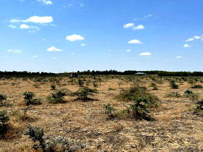 Tuala Rangua 6-Acres - Image 12