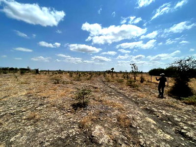 Tuala Rangua 6-Acres - Image 11