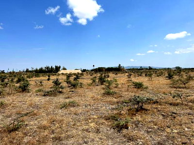 Tuala Rangua 6-Acres - Image 10