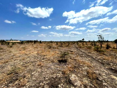 Tuala Rangua 6-Acres - Image 9