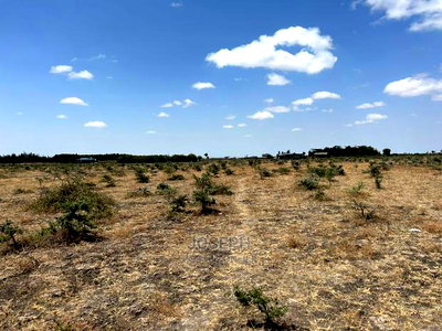 Tuala Rangua 6-Acres - Image 8