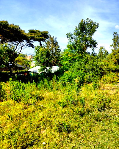 Garden Plot with Parking at KSh 6.5M