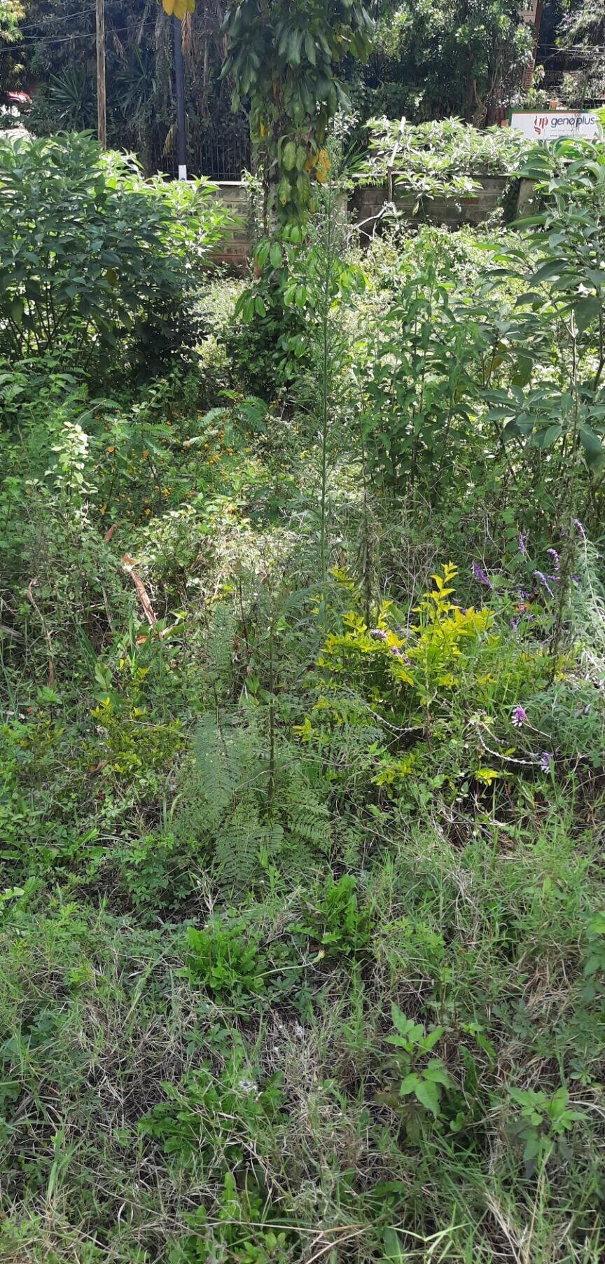 1-Acre Plot in Westlands at KSh 350M