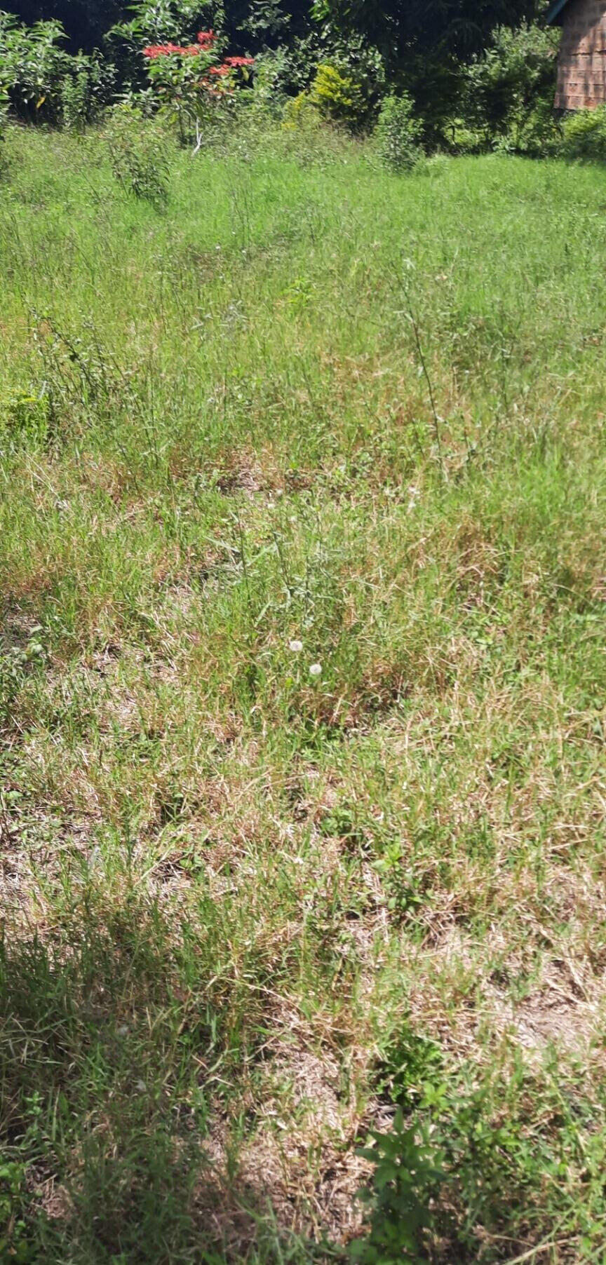 1-Acre Plot in Westlands at KSh 350M