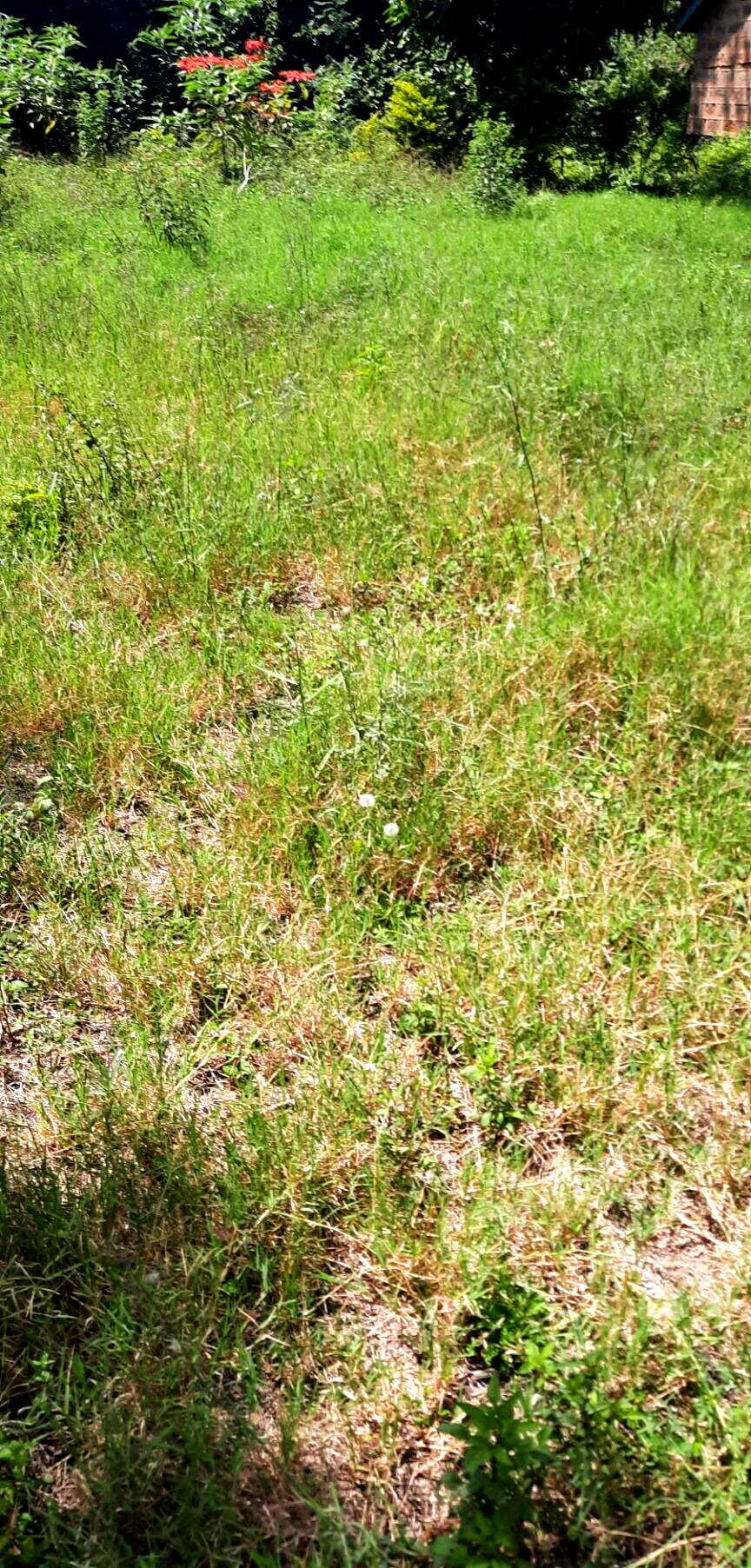 1-Acre Plot in Westlands at KSh 350M