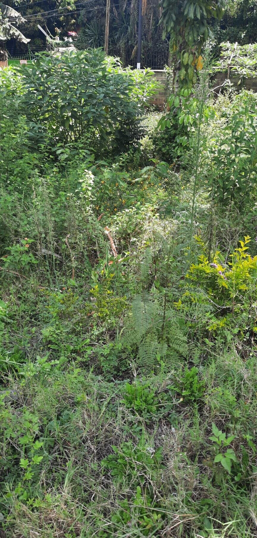 1-Acre Plot in Westlands at KSh 350M