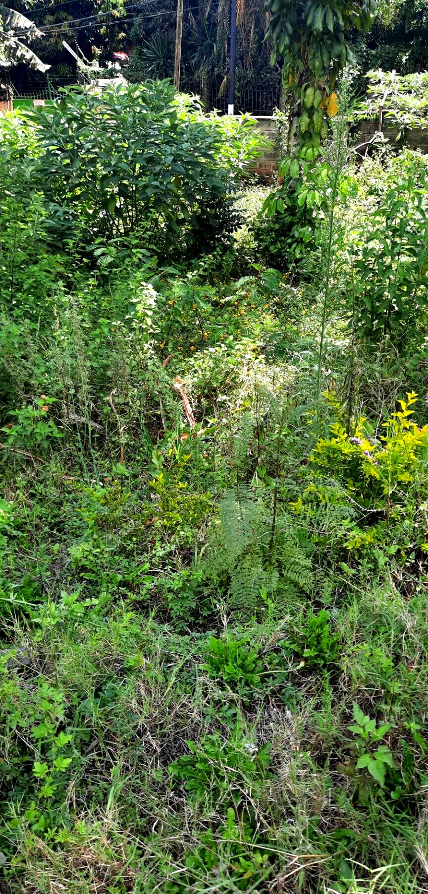 1-Acre Plot in Westlands at KSh 350M