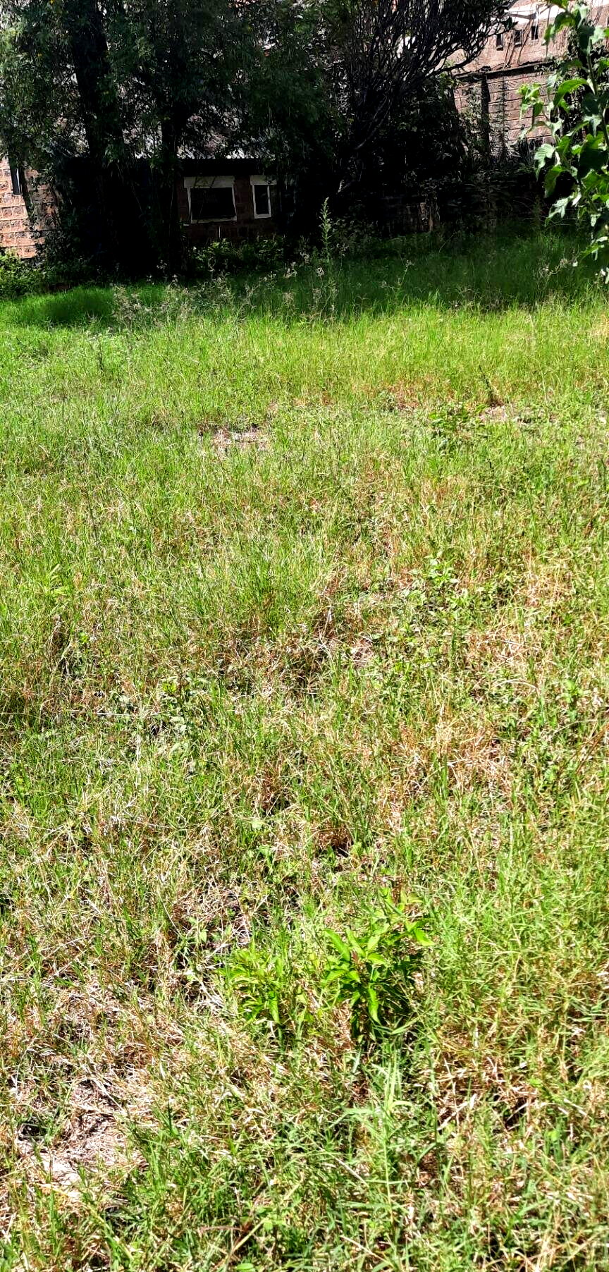 1-Acre Plot in Westlands at KSh 350M