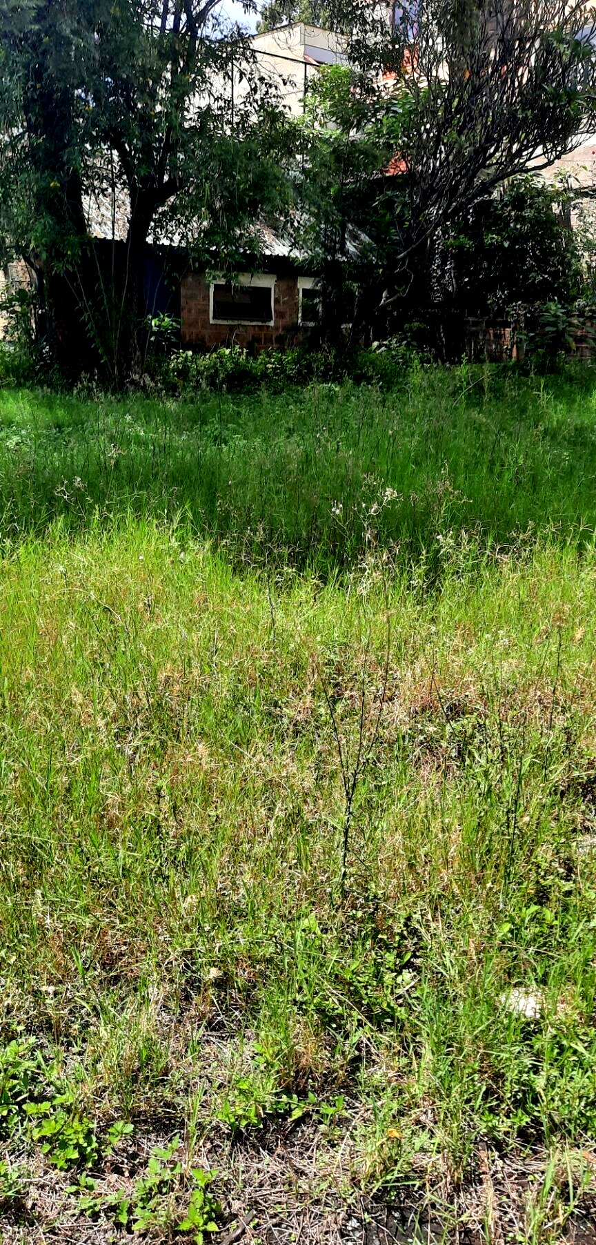 1-Acre Plot in Westlands at KSh 350M