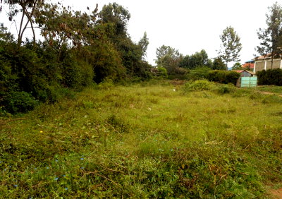 Quarter Acre Garden Plot