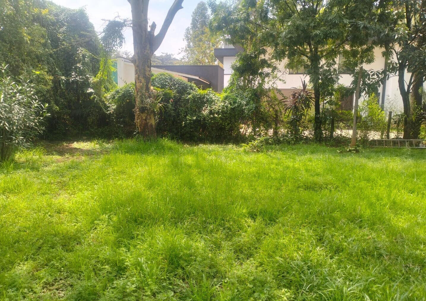 0.5 Acre Plot in Westlands at KSh 270M