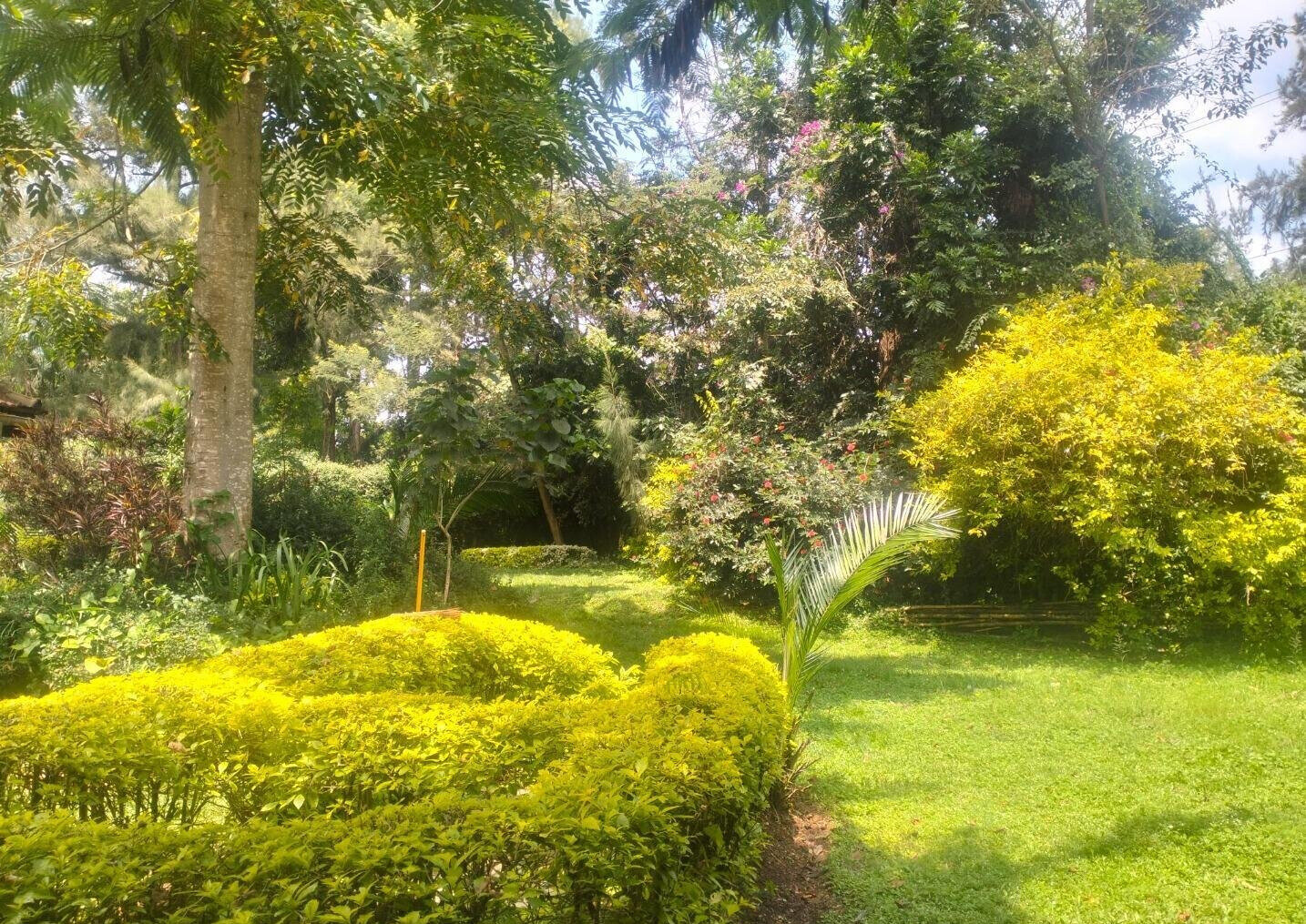 0.5 Acre Plot in Westlands at KSh 270M