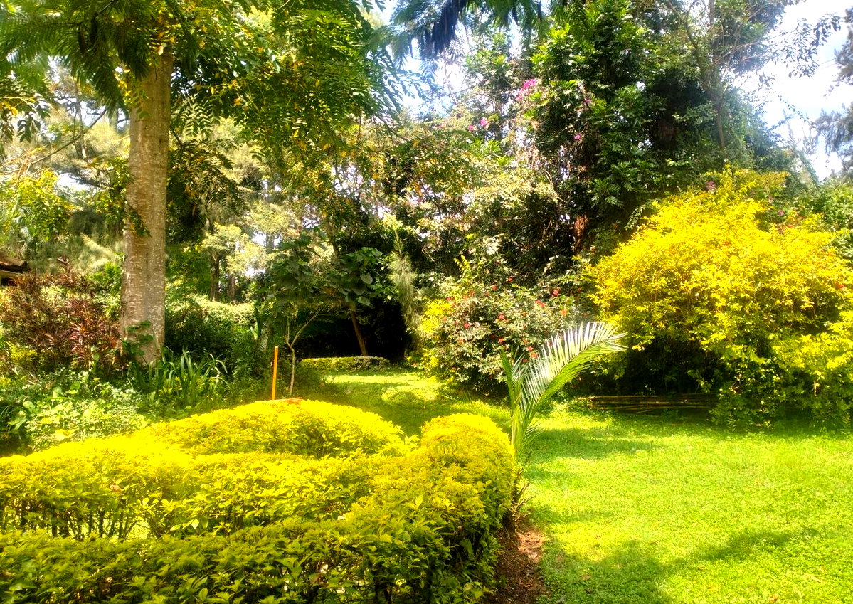 0.5 Acre Plot in Westlands at KSh 270M