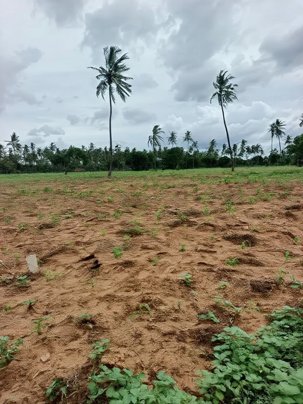 Prime Acre Land for Sale in Kilifi Tezo