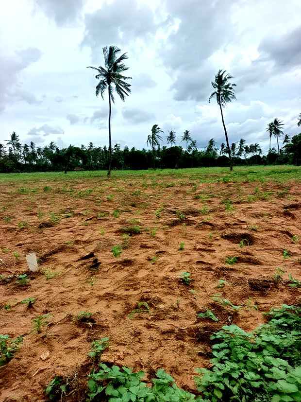 Prime Acre Land for Sale in Kilifi Tezo