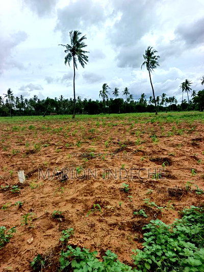 Prime Acre Land for Sale in Kilifi Tezo - Image 3