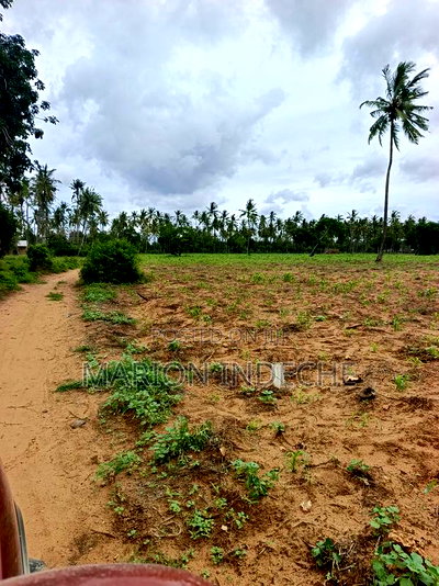 Prime Acre Land for Sale in Kilifi Tezo - Image 6