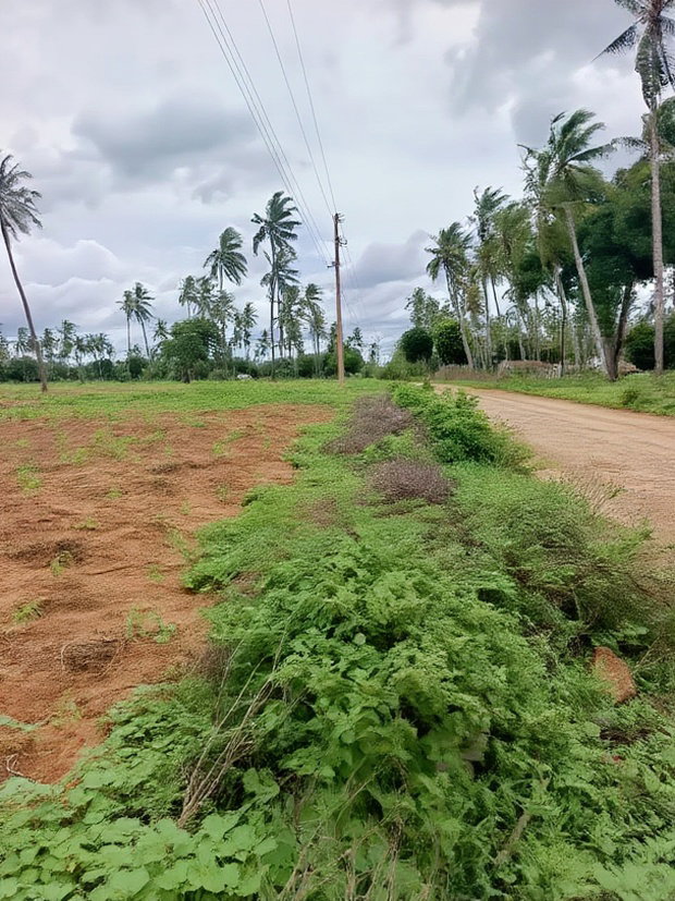 Prime Acre Land for Sale in Kilifi Tezo