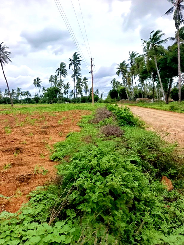 Prime Acre Land for Sale in Kilifi Tezo
