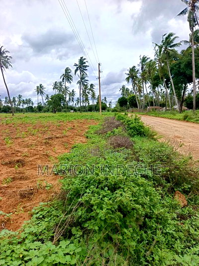 Prime Acre Land for Sale in Kilifi Tezo - Image 5