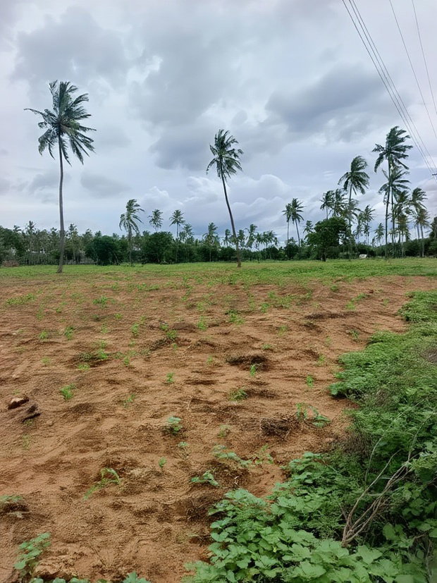 Prime Acre Land for Sale in Kilifi Tezo