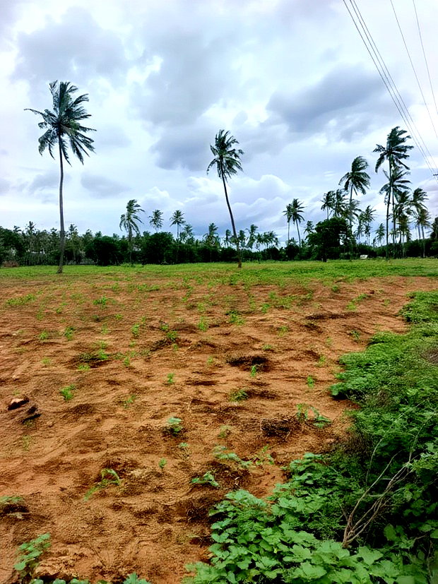 Prime Acre Land for Sale in Kilifi Tezo