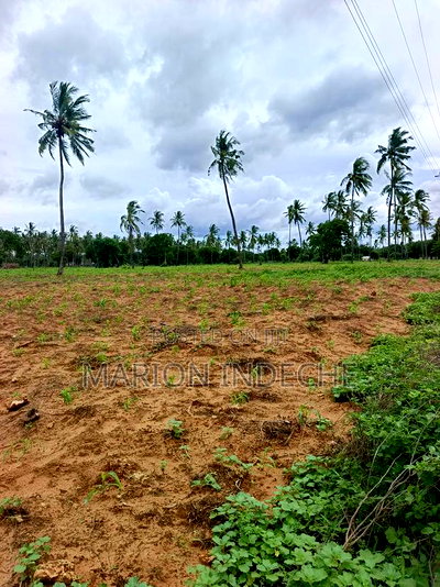 Prime Acre Land for Sale in Kilifi Tezo - Image 1