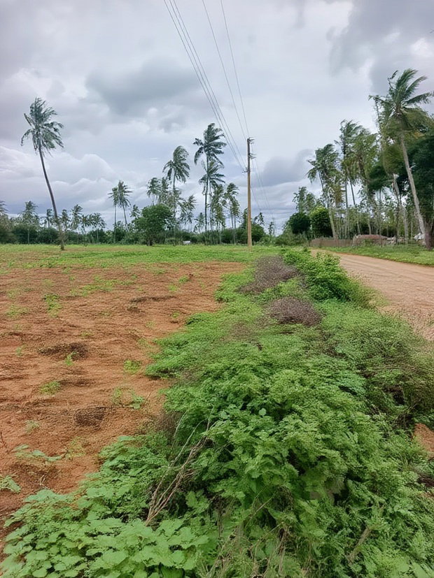 Prime Acre Land for Sale in Kilifi Tezo